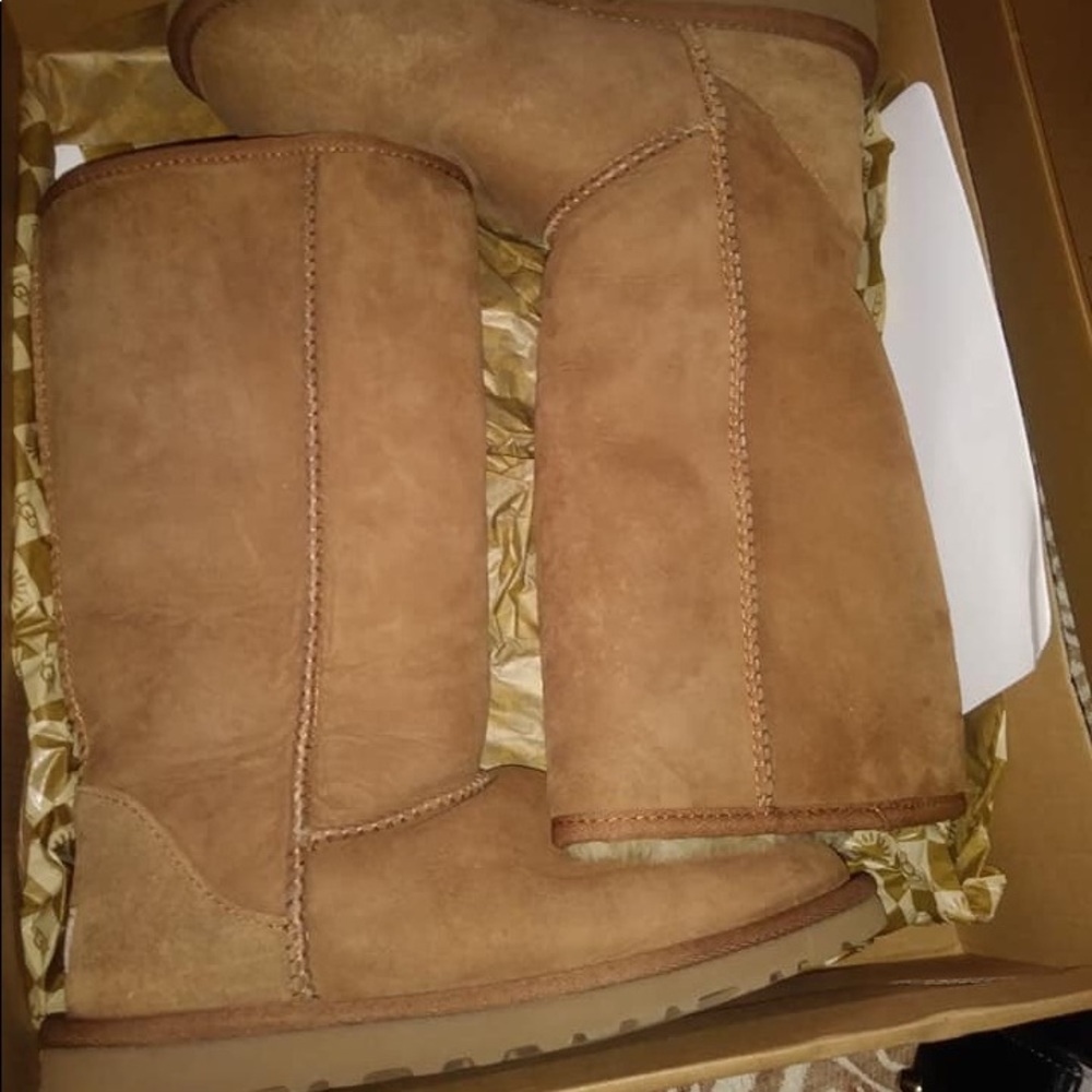 Authentic Classic Tall Uggs